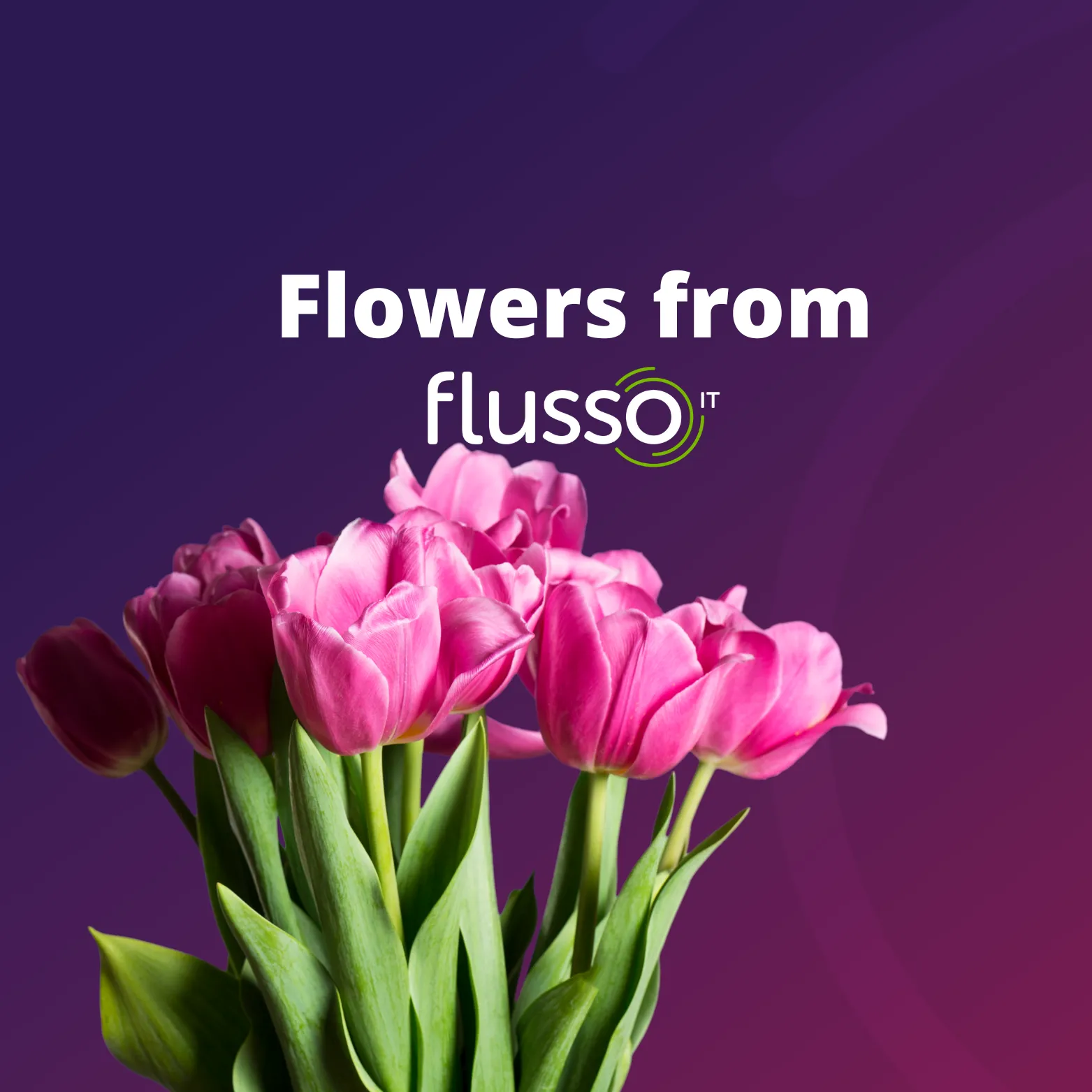 Kaartje ‘Flowers from Flusso’ met roze tulpen op een paarse achtergrond